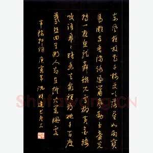 沈明建 硬笔行书 辛稼轩词