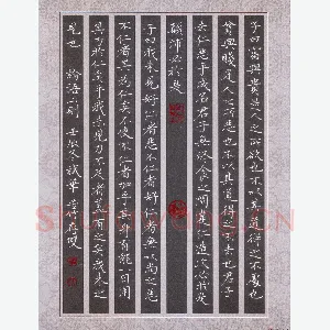 方存双 硬笔楷书 论语三则