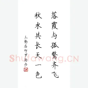 罗扬 硬笔楷书 王勃名句