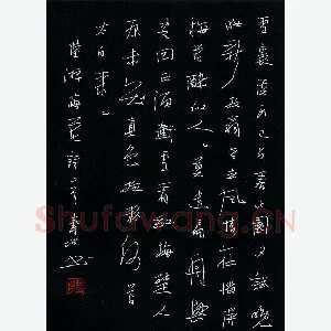 尹寿坤 硬笔行书 陆游梅花诗二首