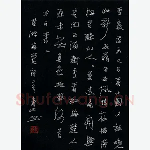 尹寿坤 硬笔行书 陆游梅花诗二首