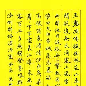 朱海波 硬笔楷书 杜甫诗二首