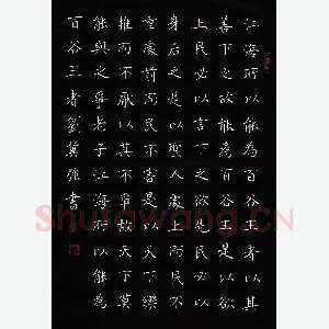 刘冀强 硬笔楷书 道德经节录