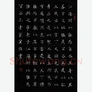 刘冀强 硬笔楷书 道德经节录