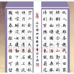 陆维中 硬笔楷书 五言诗二首