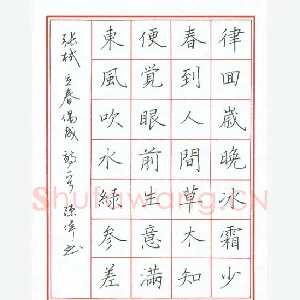 陈伟 硬笔楷书 立春偶成