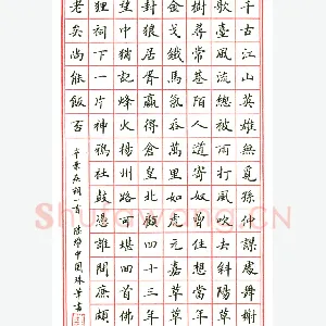 陆维中 硬笔楷书 辛弃疾词一首