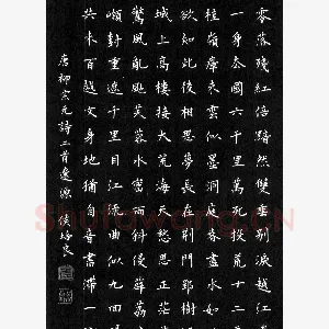 侯培良硬笔楷书柳宗元诗二首 硬笔书法作品