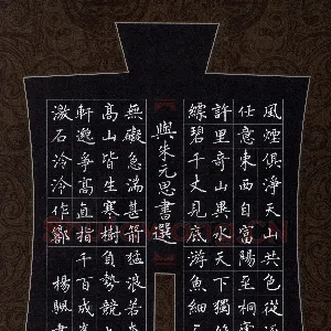 杨帆 硬笔楷书 吴均与朱元思书节选