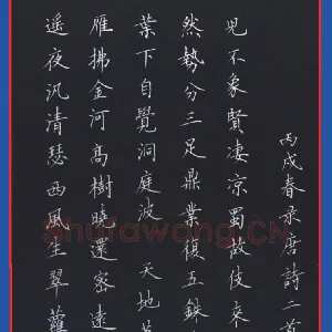 范益军 钢笔楷书 唐诗二首