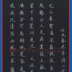 范益军 钢笔楷书 唐诗二首