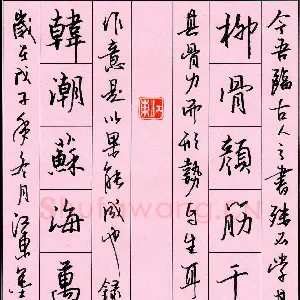 陈广 硬笔行书 柳骨韩潮联