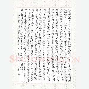 冯才权 硬笔章草 范仲淹岳阳楼记