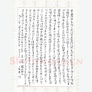 冯才权 硬笔章草 范仲淹岳阳楼记