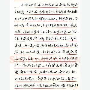 姜国庶硬笔行书现代散文 硬笔书法作品