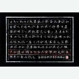 杨晓林 硬笔楷书 王建诗一首