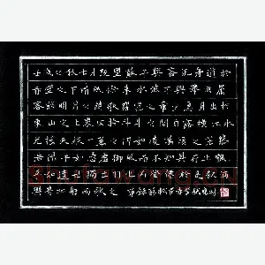 杨晓林 硬笔楷书 王建诗一首