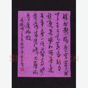 陈永生 硬笔行草 陆游词一首