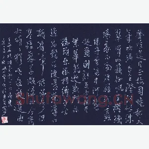 陈永生 硬笔行草 王安石桂枝香词一首