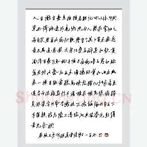 郦一平 硬笔行草 苏轼石苍舒醉墨堂诗