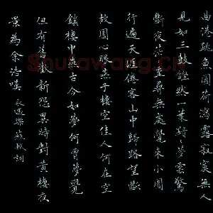 王灵善 硬笔楷书 地球之歌