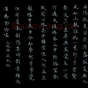 王灵善 硬笔楷书 地球之歌