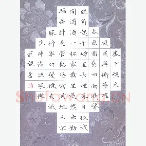 杨宠观 硬笔楷书 范仲淹词渔家傲