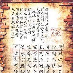 周擎 硬笔楷书 水云楼词
