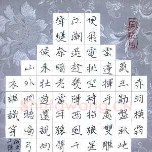 周擎 硬笔楷书 蒋春霖水云楼词