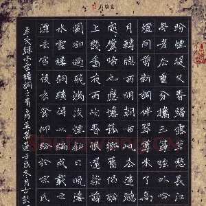 周擎 硬笔楷书 水云楼词之青房并蒂莲