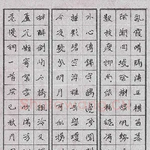 周擎 硬笔楷书 木兰花慢词一首