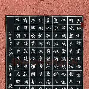 范振斌 硬笔楷书 千字文节录
