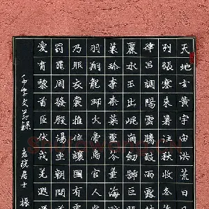 范振斌 硬笔楷书 千字文节录
