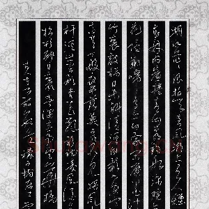 李宗洪 硬笔行草 古人七言诗数首