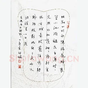 祁斌 硬笔行草 东坡居士词一首