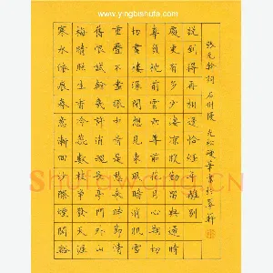 孙光松 硬笔楷书 张元干词石州慢