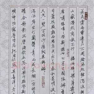 林慧明 硬笔行书 岳阳楼记节录