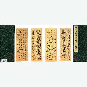 谢非墨 硬笔楷书 册页