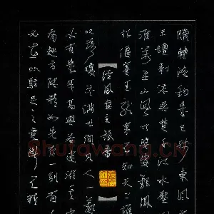 张蕾 硬笔行草 古诗选抄