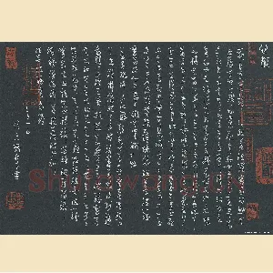 庞科成 硬笔草书 心经