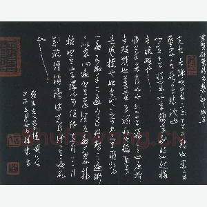 庞科成 硬笔草书 题卫夫人笔阵图后