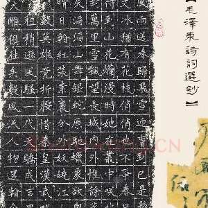 刘景新 硬笔楷书 毛泽东诗词选抄