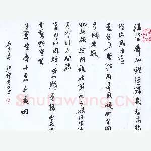 许邦志 硬笔行书 凌云舞仙铿连环