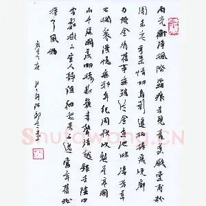 许邦志 硬笔行书 雨光