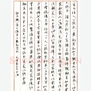 毛理家硬笔行书杜甫诗观公孙大娘弟子舞剑器行 硬笔书法作品