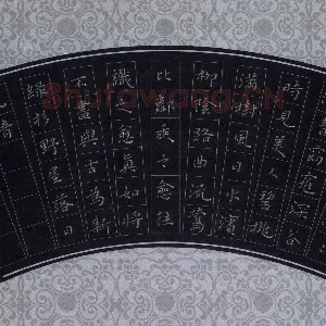 高向前 硬笔楷书 诗品节录