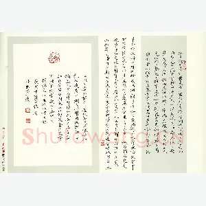 张秀 硬笔楷书 袁枚游桂林诸山记