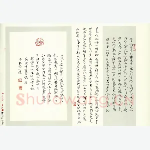 张秀 硬笔楷书 袁枚游桂林诸山记
