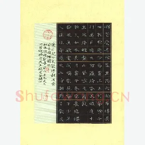 张开新 硬笔楷书 柳永词