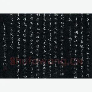 李波 硬笔楷书 好花多向雨中开